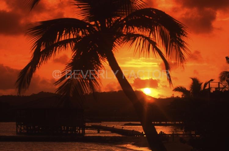 Island;Roatan;Honduras;Sunset;sky;clouds;sun;yelloew;water;red;palm trees;colorful;sillouettes;ocean